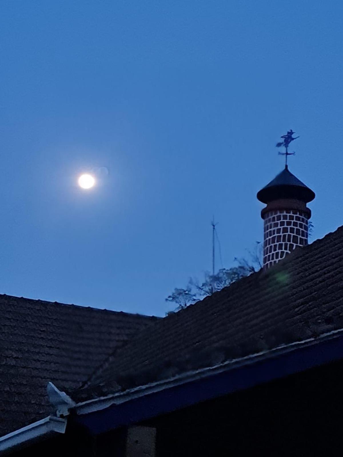 Casa Acucena No Sitio Gaia Magia Miguel Pereira Rj Hotel Eksteriør billede