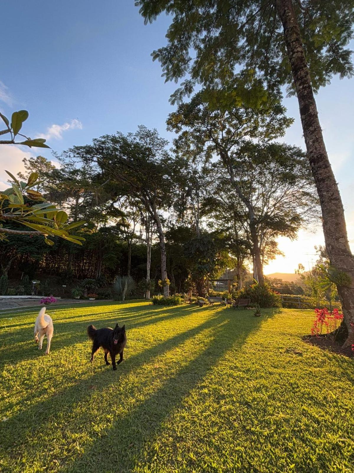 Casa Acucena No Sitio Gaia Magia Miguel Pereira Rj Hotel Eksteriør billede
